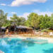 Camping Luna del Monte : piscine et bar au milieu des arbres