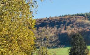 Foto van omgeving van camp Diekirch