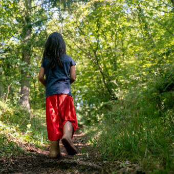 Camping Bockenauer Schweiz wandelen natuur bos