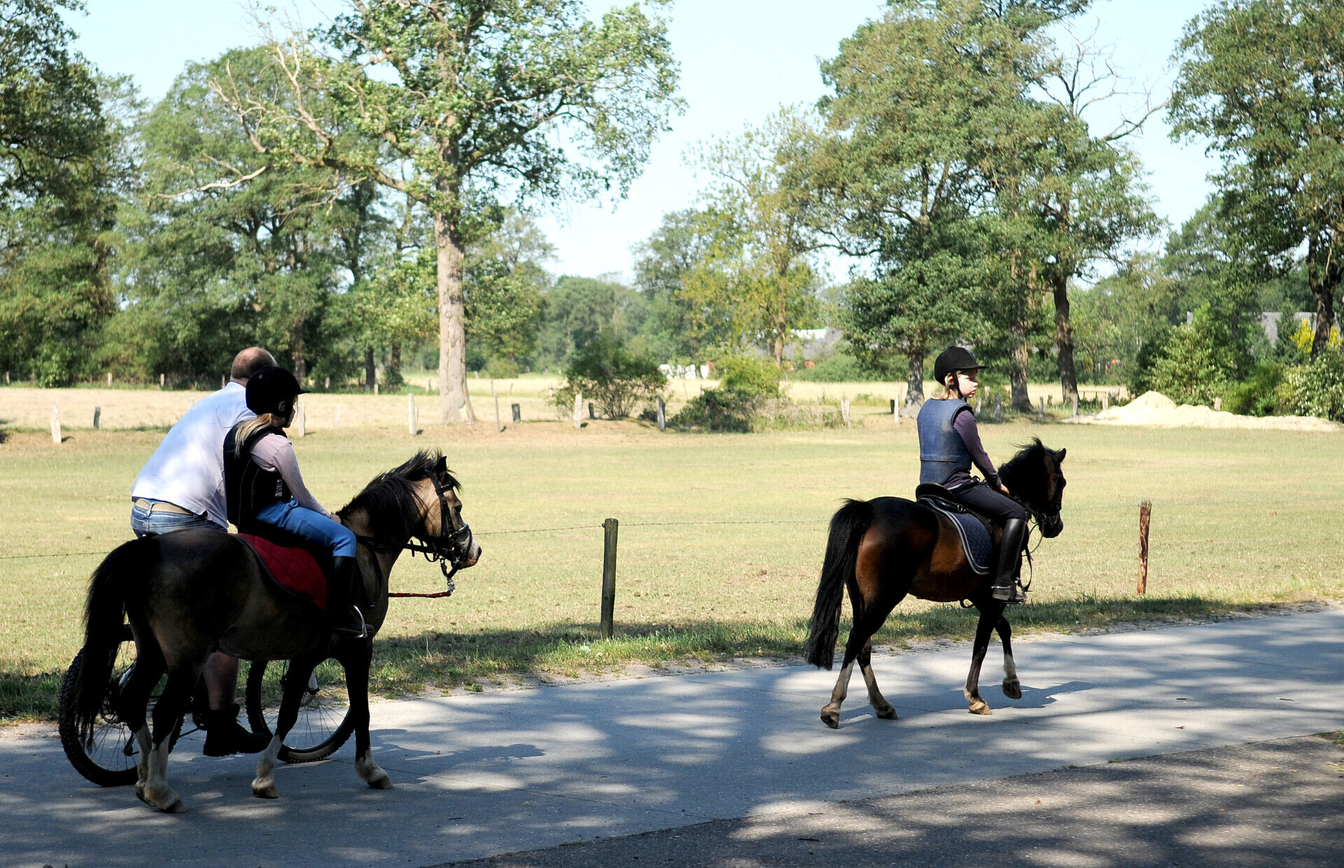kinderen paard aan het rijden in camping dal van de mosbeek