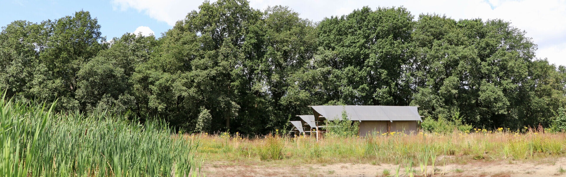 Safari tents by pond on Camping de Heerlijkheid Vorenseinde