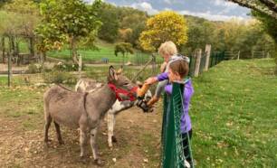Kinderen aaien ezels op kinderboerderij Camping Fargogne