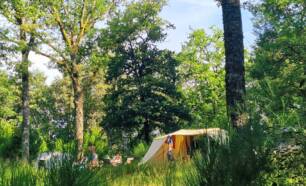 Tenten op camping Montard