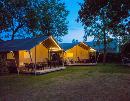 Safaritenten verlicht op Camping 't Veld