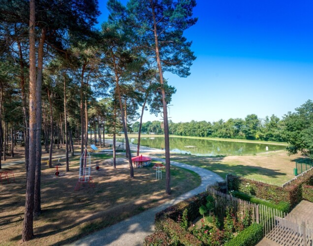 Bosrijke omgeving met een recreatiemeer in Belgisch Limburg. Een natuurlijk gelegen camping voor alle leeftijden.