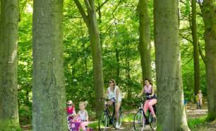 Mensen fietsen door bos nabij Landgoedcamping Nienoord Groningen