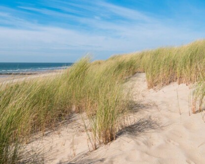 Strandcamping Jagtveld duinen Noordzee